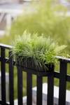 greenville easy balcony 52cm living black